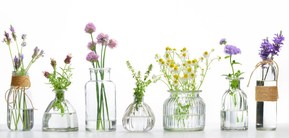 Healthy Herbs – Healing Effects and Uses