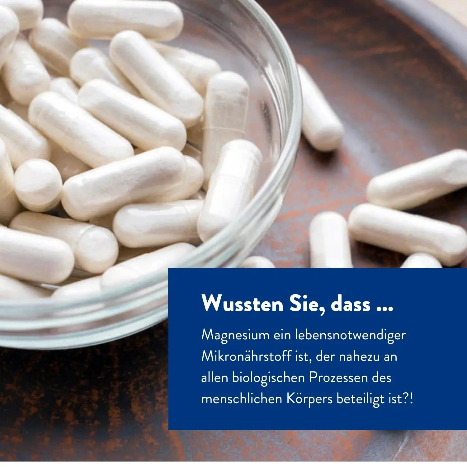 BitterKraft Magnesium-Komplex – 3er-Sparpaket