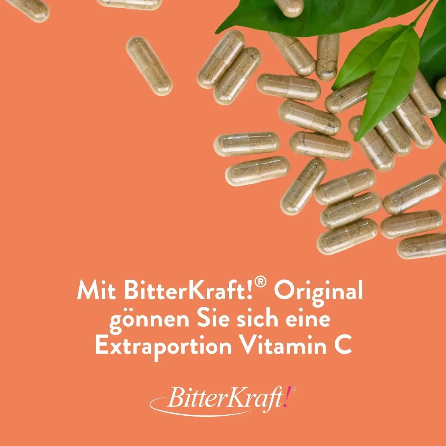 Bitterkraft! Vitamin C mit Hagebutten-Extrakt Bitterkraft GmbH - Bitterkraft