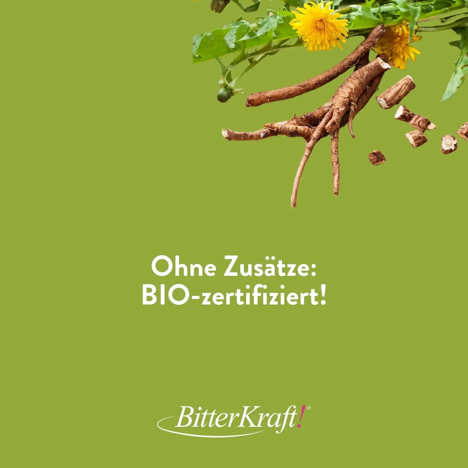 Basenkraft! Original (BIO) Bitterkraft GmbH - Bitterkraft