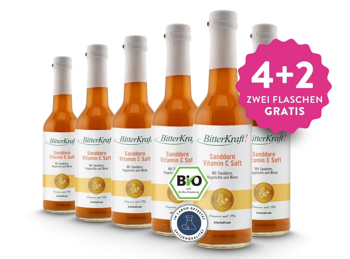 Sanddorn-Saft (BIO) 350ml