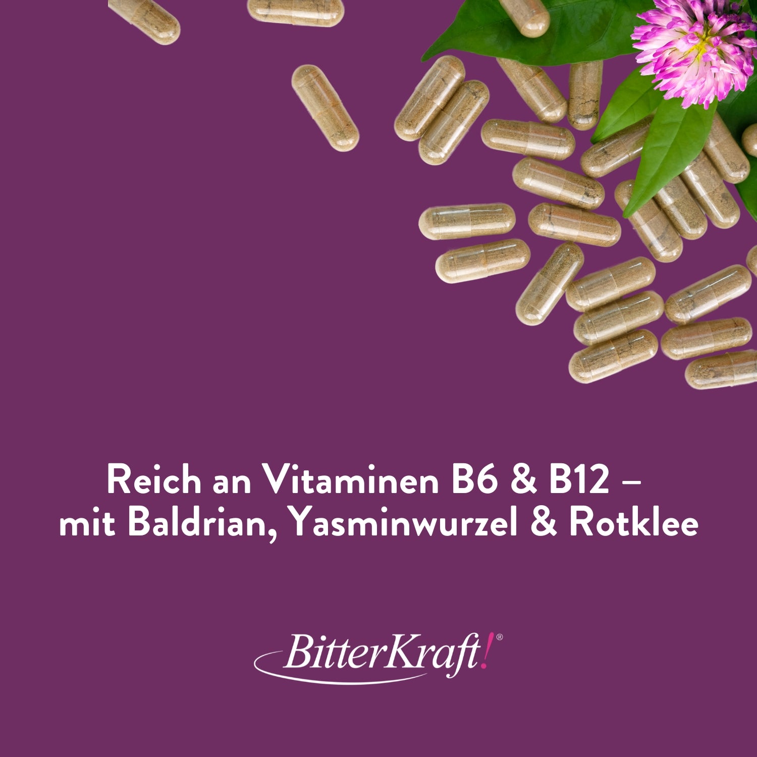 Wechseljahre Paket