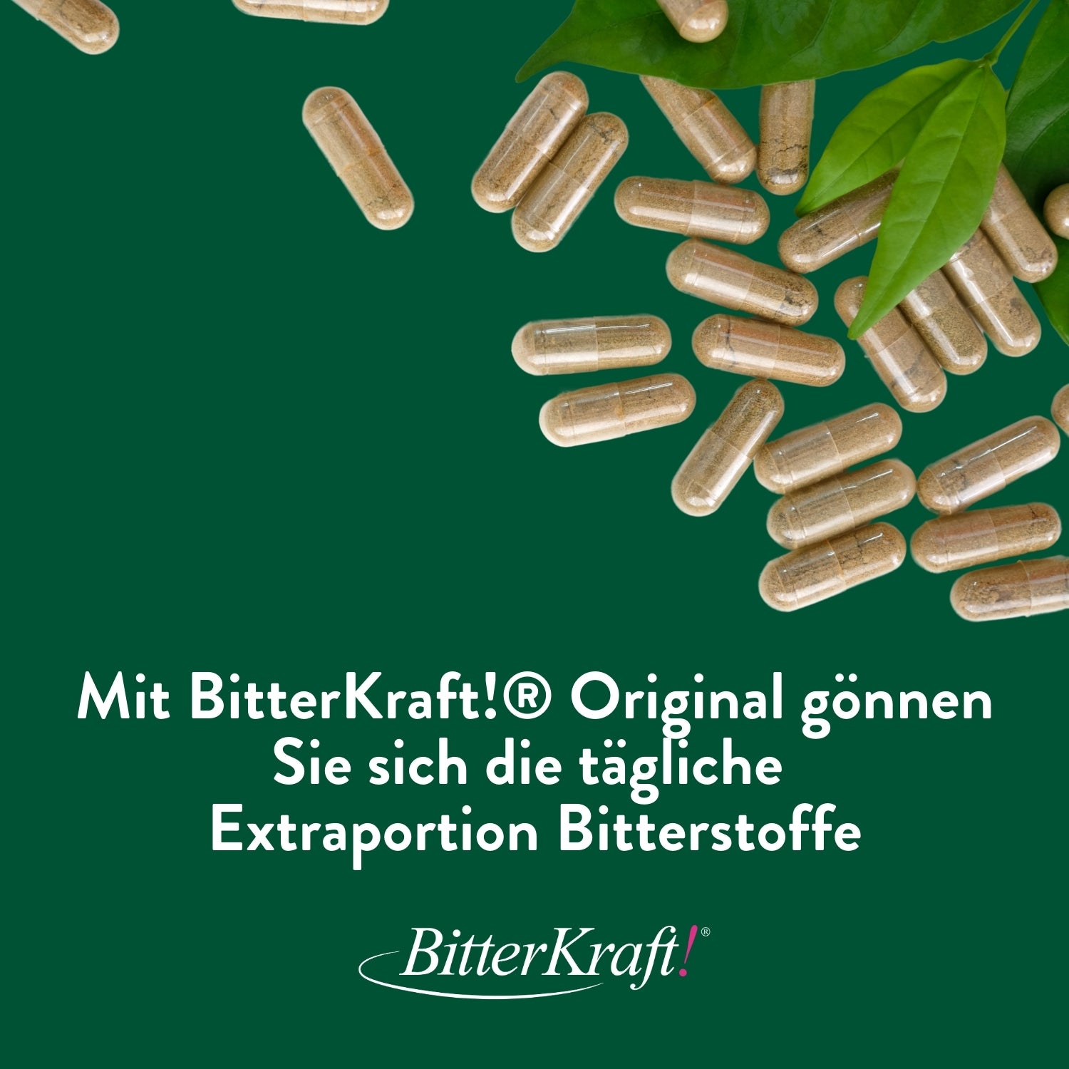 BitterKraft! Bitterstoffe Kapseln (60 Stück)