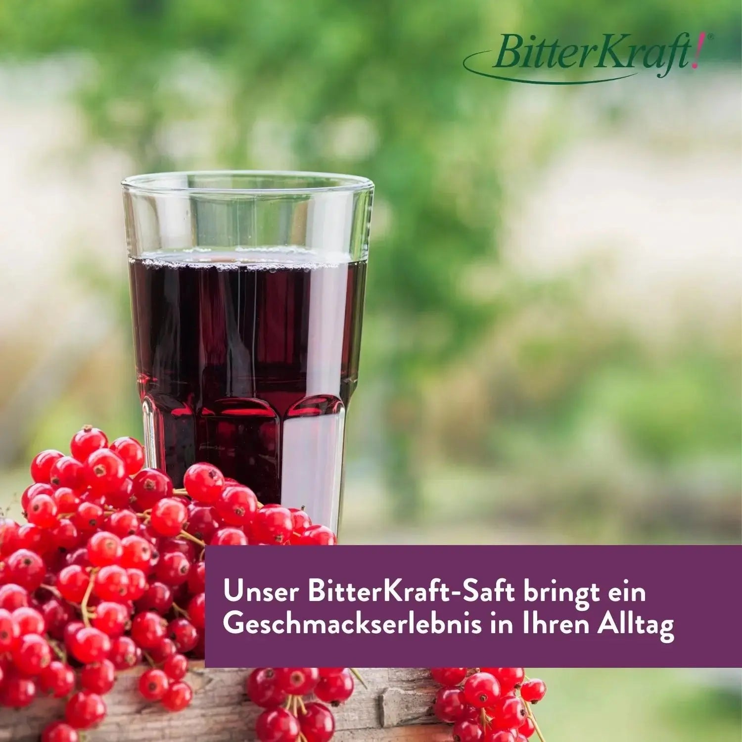 Aronia-Saft (BIO) 350ml Bitterkraft GmbH - Bitterkraft