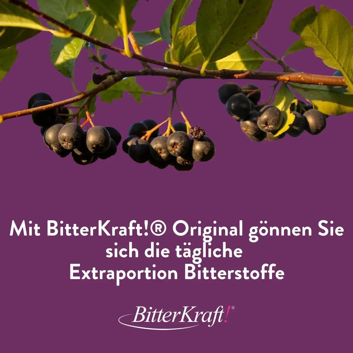 Aronia-Saft (BIO) 350ml Bitterkraft GmbH - Bitterkraft