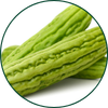 Bittermelone