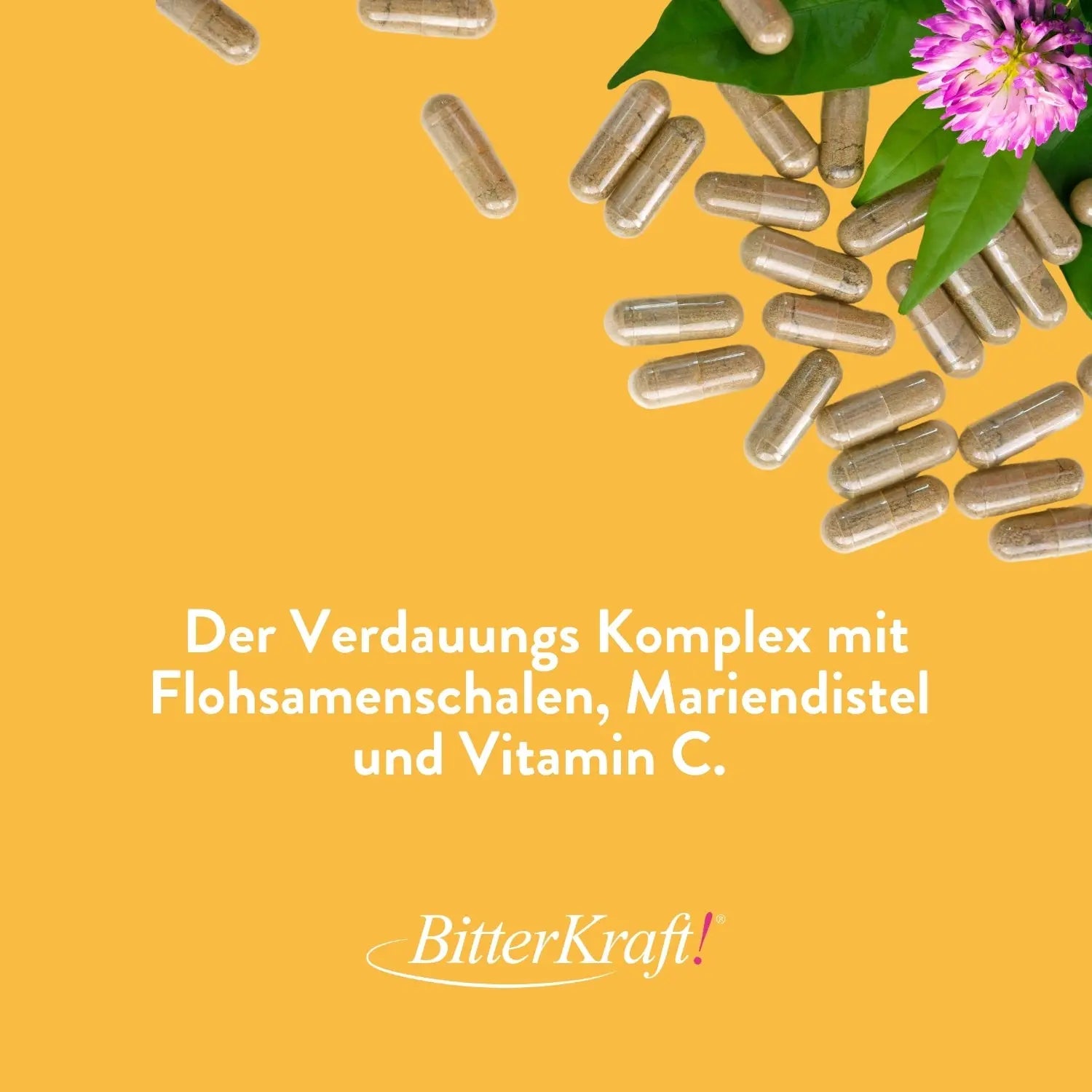 Bitterkraft Verdauungs-Komplex