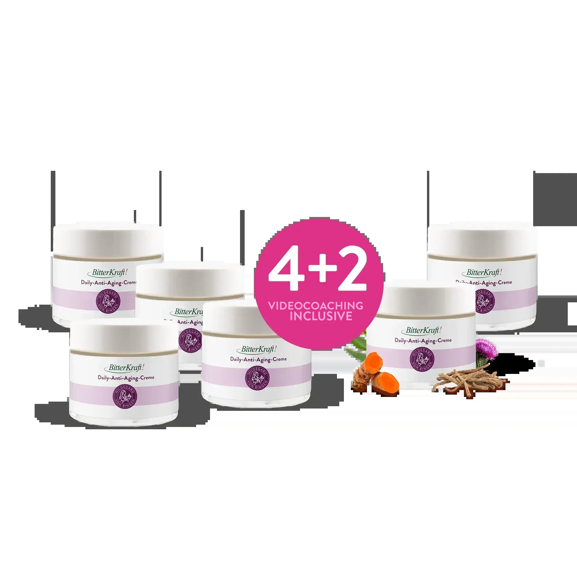 bit-aac-shop-set-4plus2_b874ca90-29da-4807-8c42-bc56b5955657_en.webp