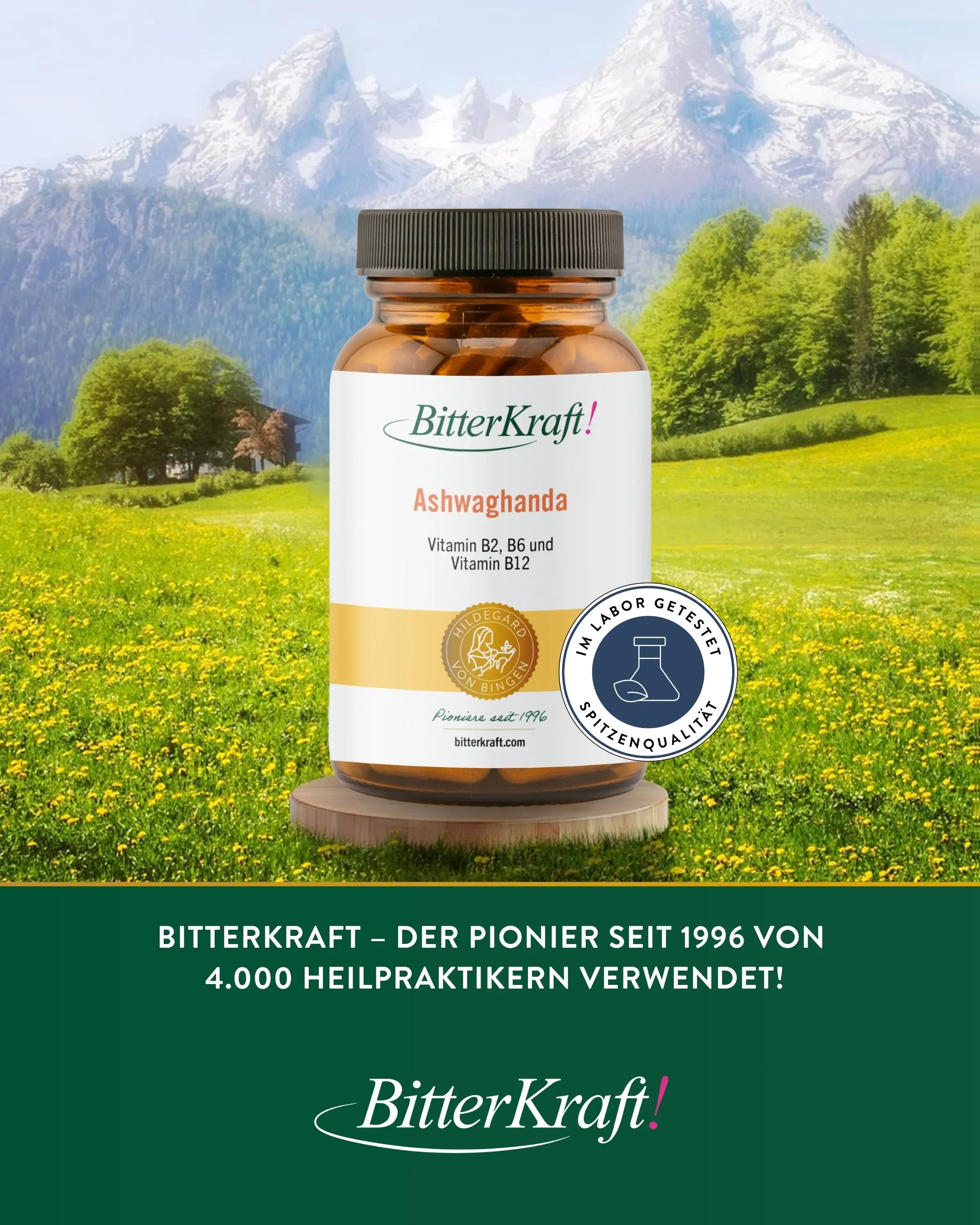Bitterkraft Ashwaghanda