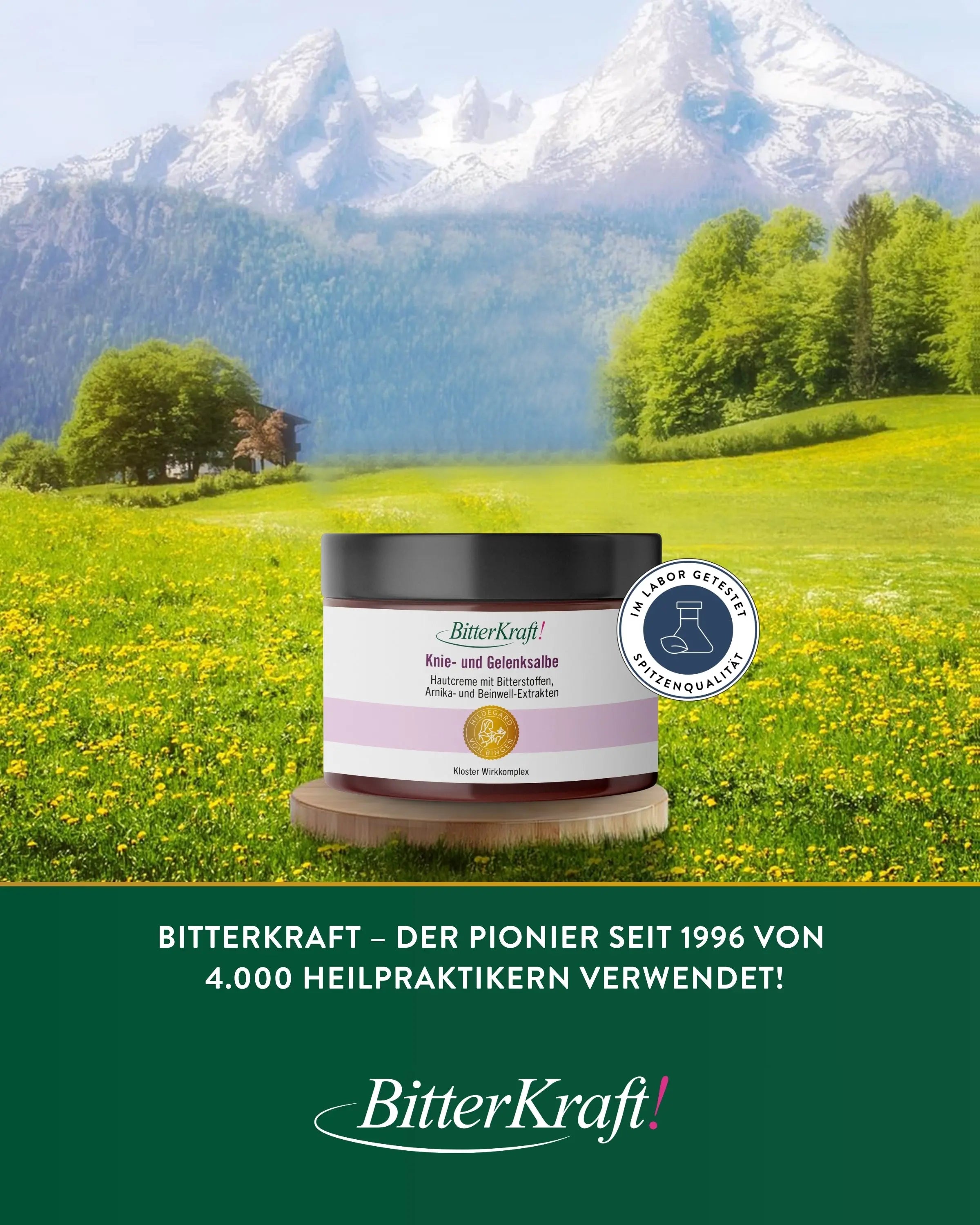 Hildegard von Bingen Knee and Joint Ointment